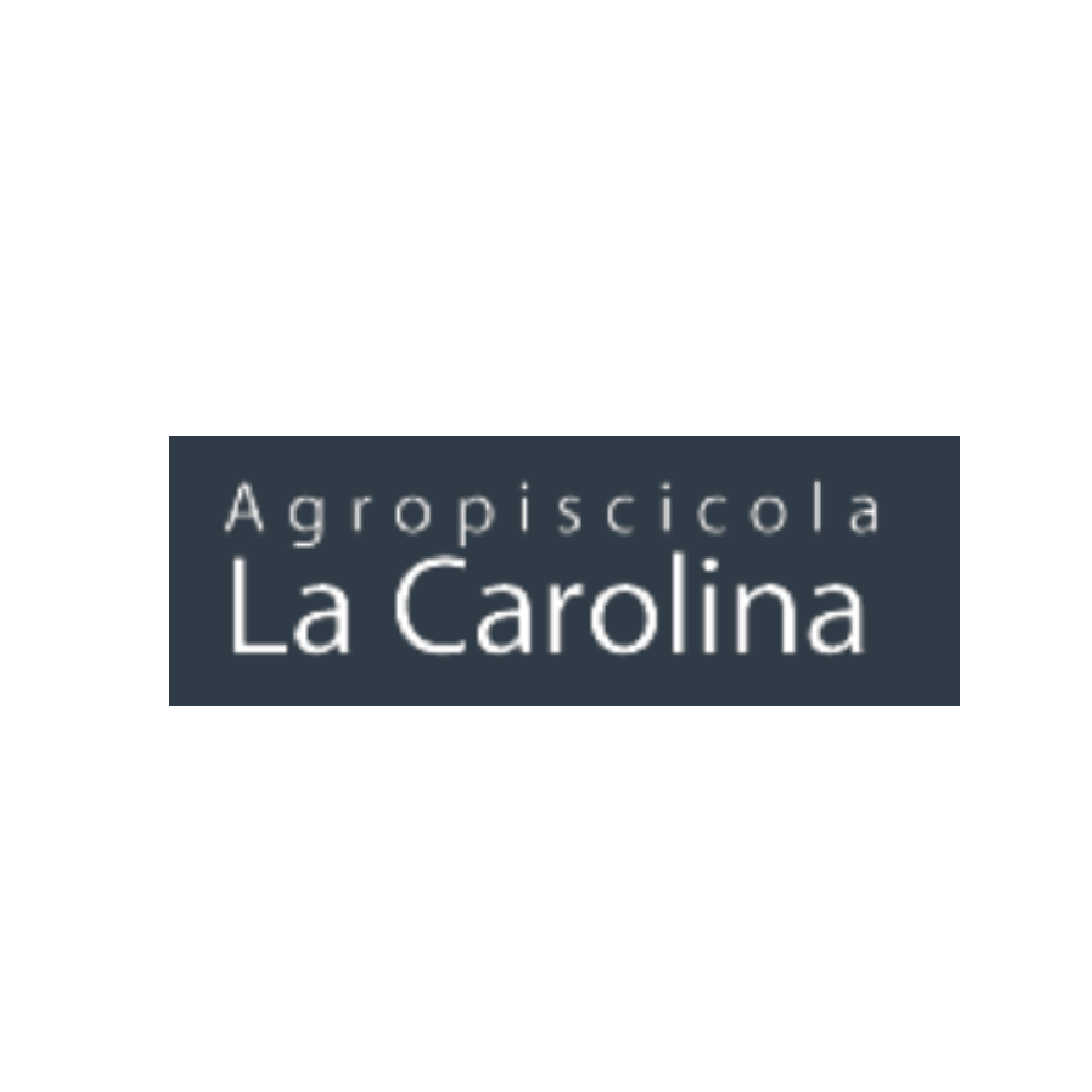 Logos Clientes2-50
